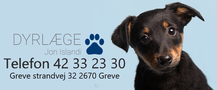 Greves bedste dyrl�ge
